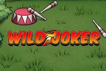 Online Slot Wild Joker