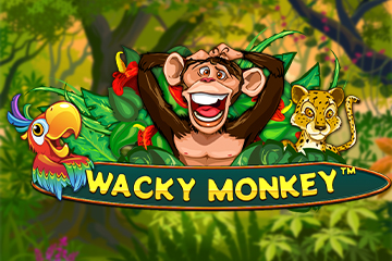 Slot Wacky Monkey uten registrering